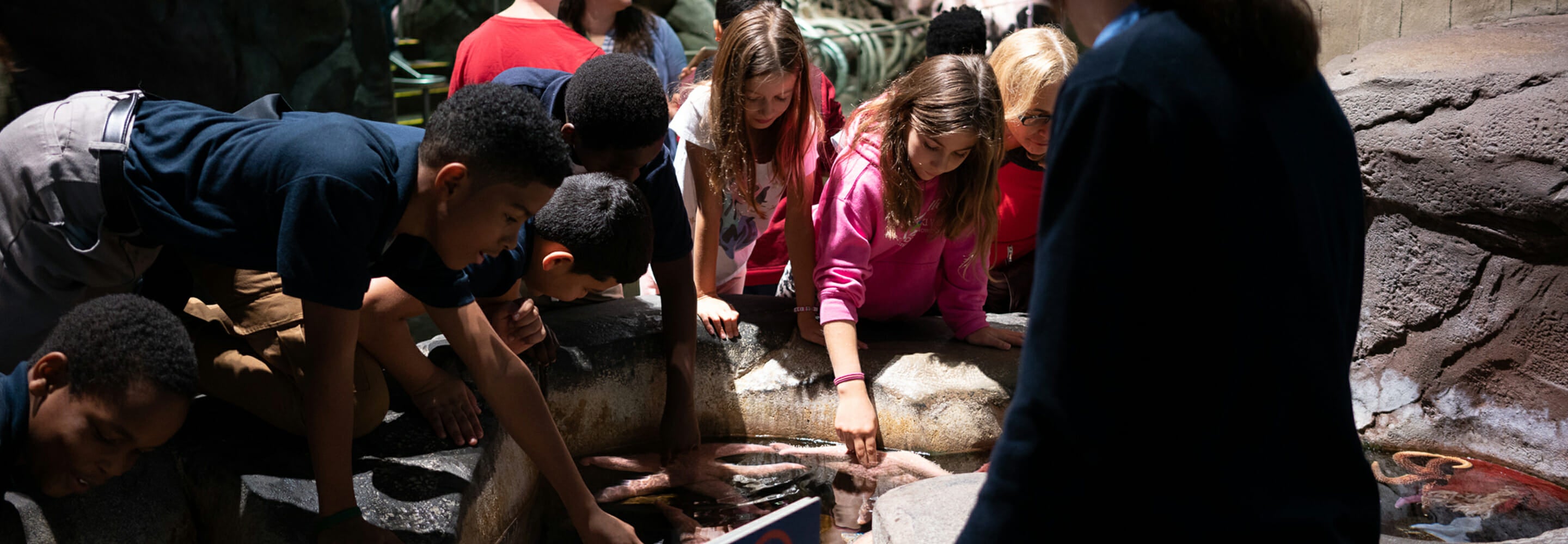 Georgia Aquarium Educator Open House