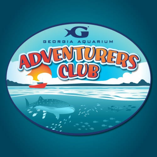 Georgia Aquarium’s Adventurer’s Club 4