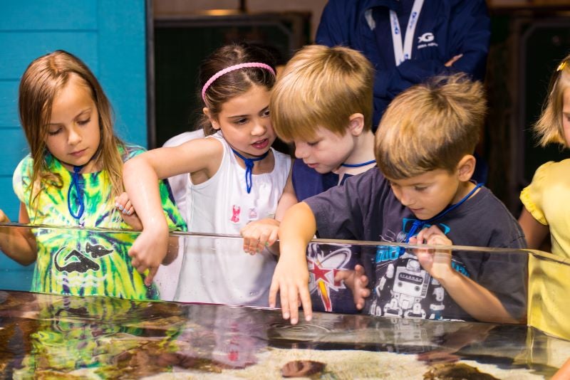 Georgia Aquarium Field Trips