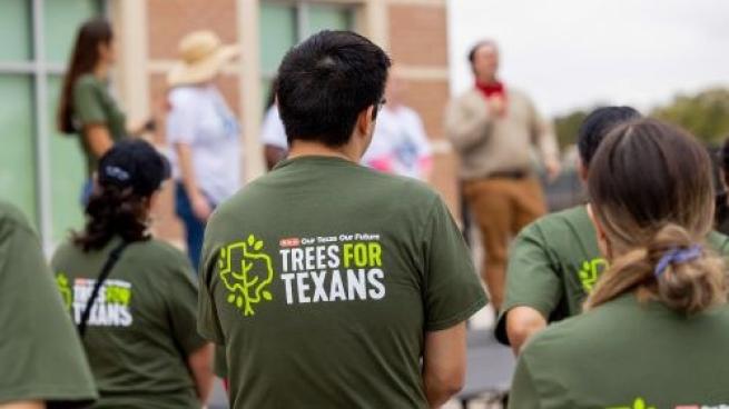 H-E-B Trees for Texans teaser