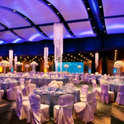 Host Your Wedding at Georgia Aquarium 12