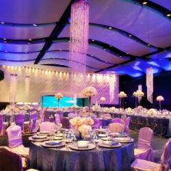 Host Your Wedding at Georgia Aquarium 14