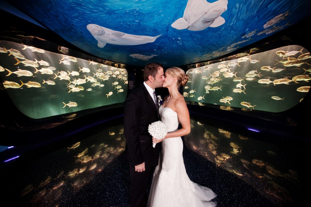 Host Your Wedding at Georgia Aquarium 17