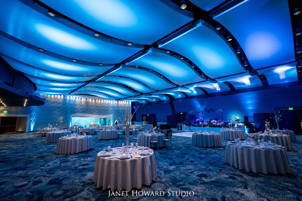 Host Your Wedding at Georgia Aquarium 31