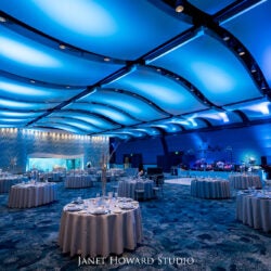 Host Your Wedding at Georgia Aquarium 6