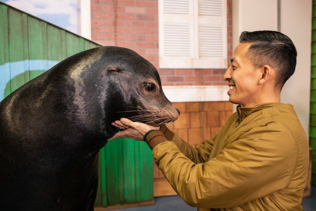 Sea Lion Encounter 10