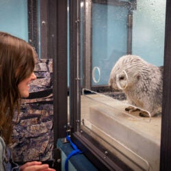 Sea Otter Encounter 21