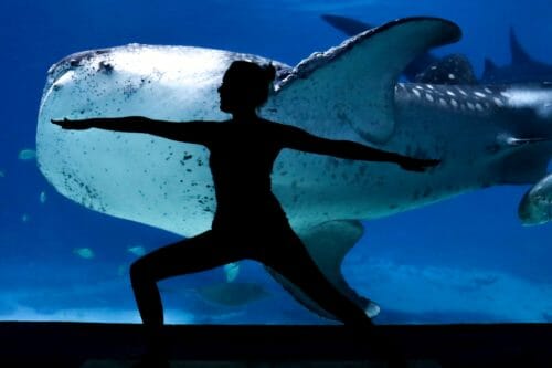 Virtual Yoga by the Water